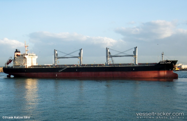 Maple-Marina - Bulk Carrier