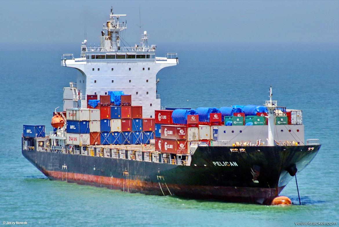 Pelican - Container Ship vessel