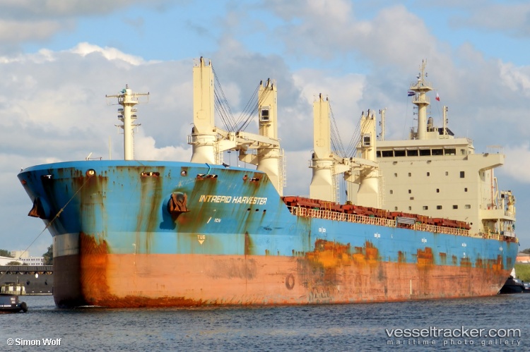 Mother-M - Bulk Carrier vessel
