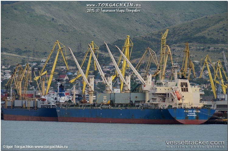 Jin-Mao - Bulk Carrier vessel