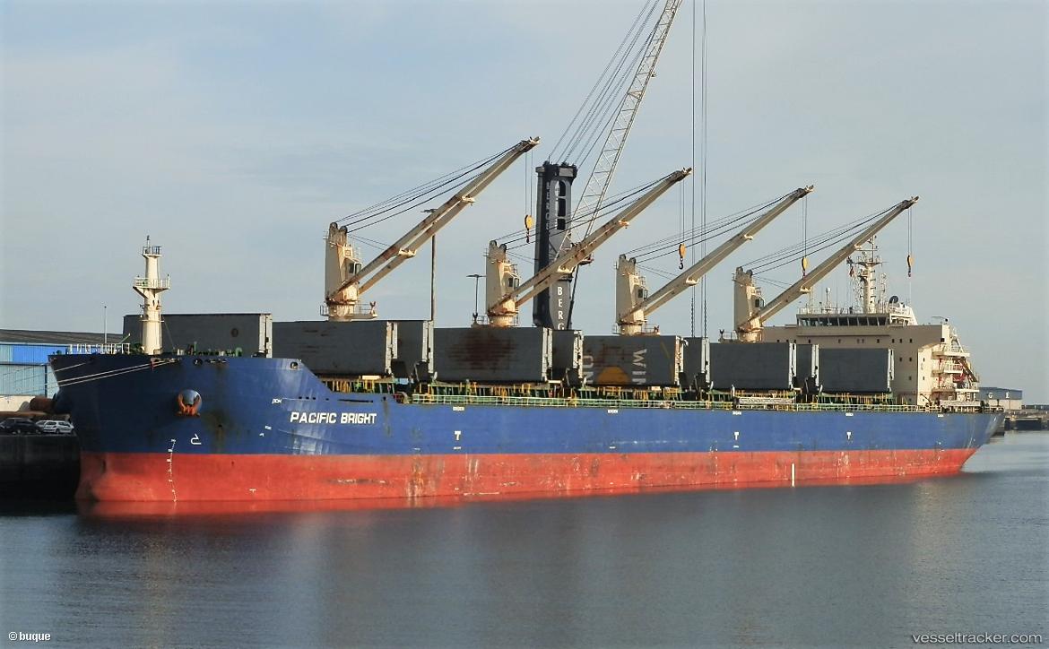 Sea-Virya - Bulk Carrier vessel