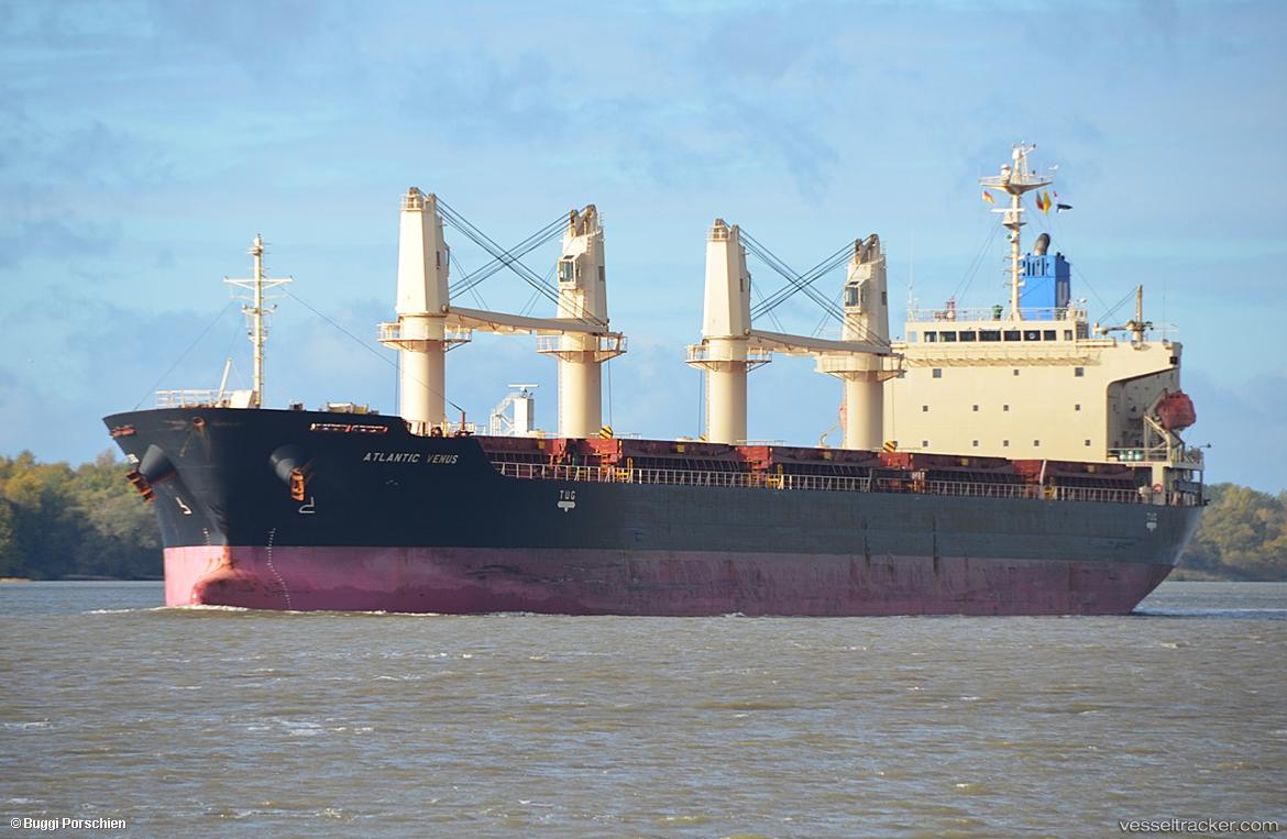 Stellar-Enguri - Bulk Carrier vessel