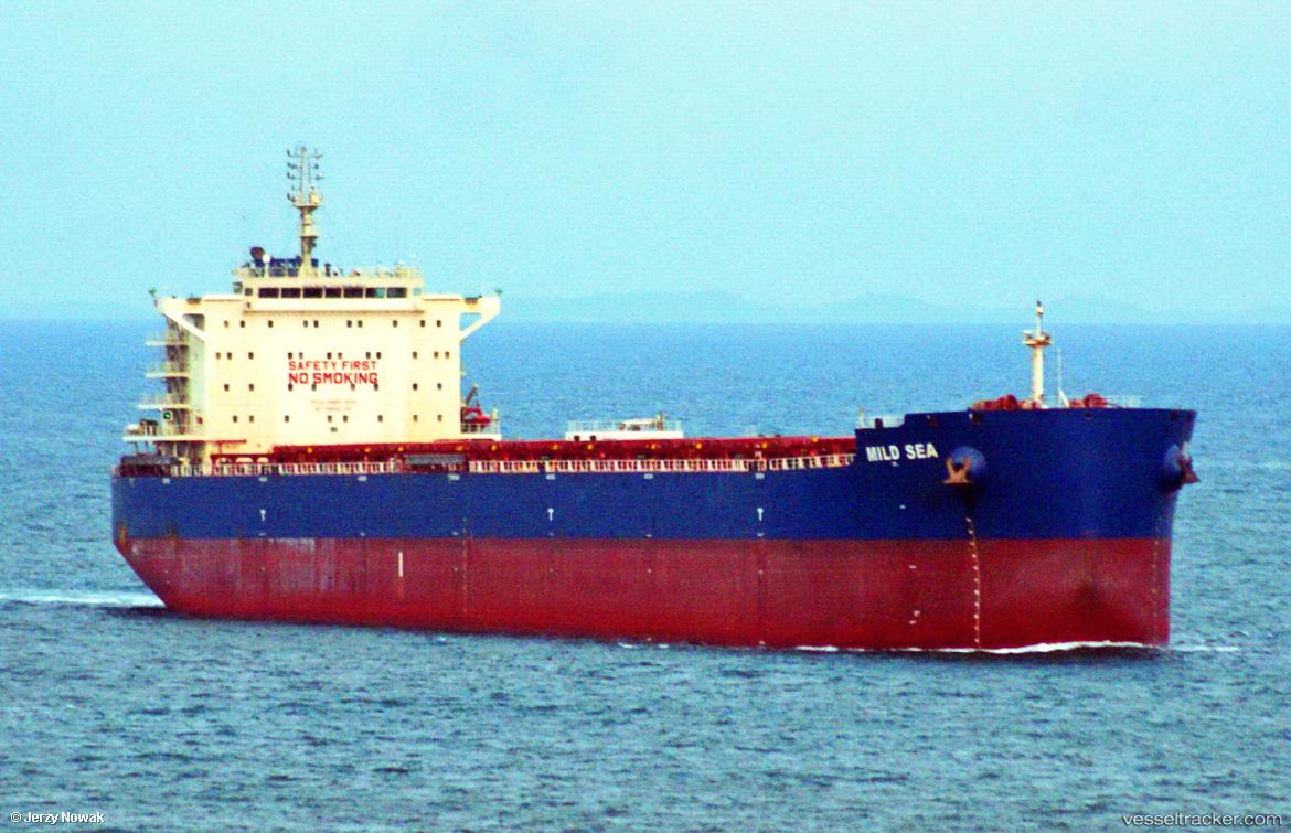 Amberjack - Bulk Carrier vessel