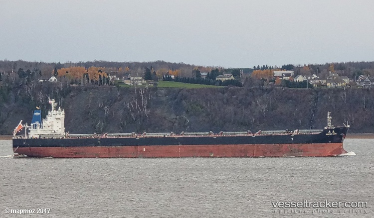 Great-Mind - Bulk Carrier vessel
