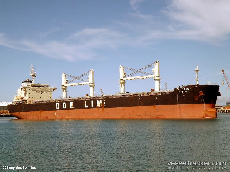 Dl-Pansy - Bulk Carrier vessel