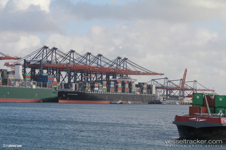 Xiamen-Express - Container Ship vessel