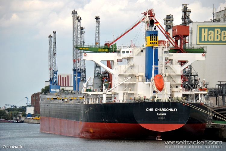 Carina-Pacific - Bulk Carrier vessel