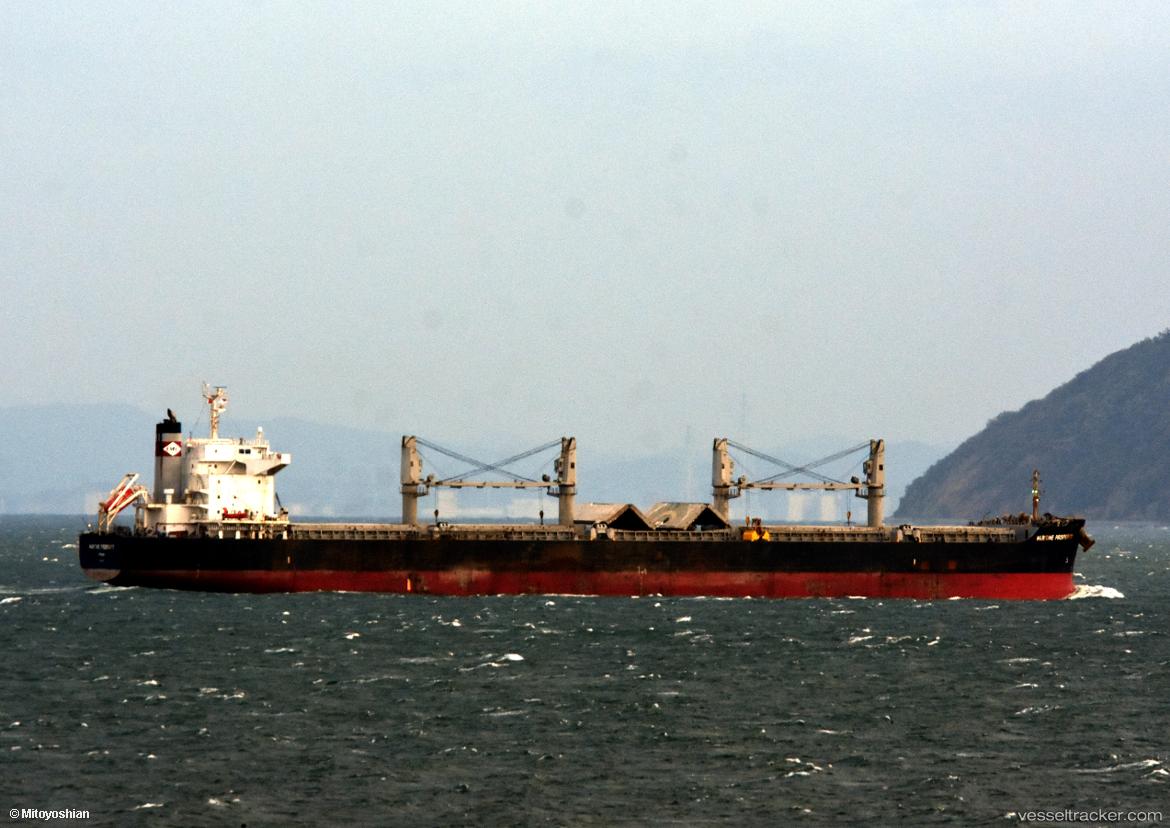 Amore - Bulk Carrier vessel