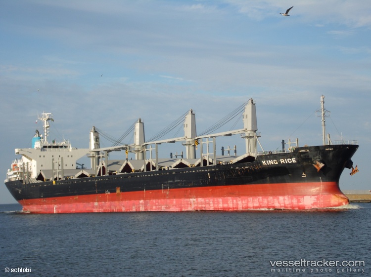 Pioneer-Kira - Bulk Carrier vessel