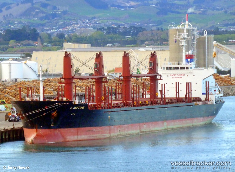 S-Neptune - Bulk Carrier vessel