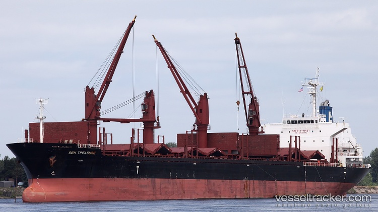 Sen-Treasure - Bulk Carrier vessel