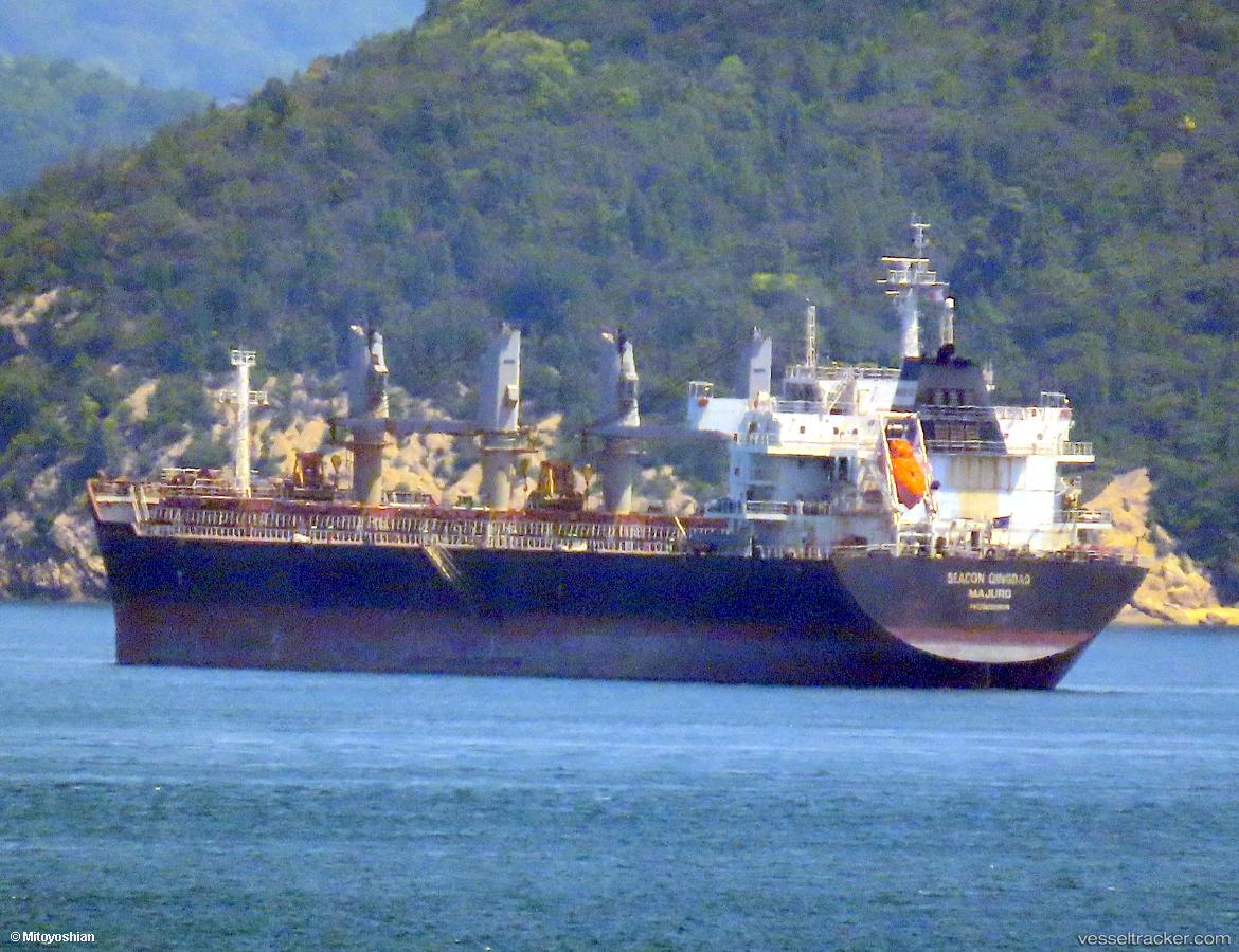 Xin-Hai-Tong-31 - Bulk Carrier vessel