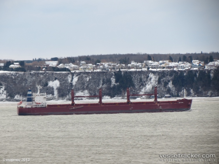 Arcadia - Bulk Carrier vessel
