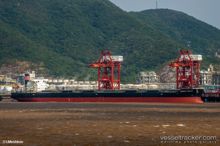 Elegant-Salute - Bulk Carrier vessel