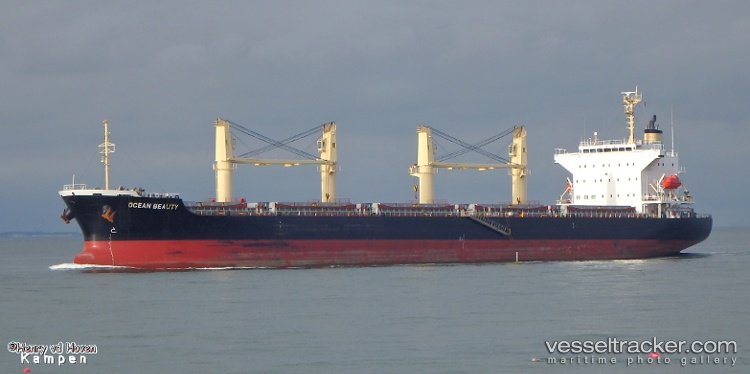 Ocean-Beauty - Bulk Carrier