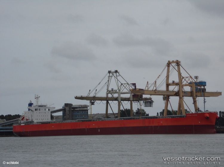 The-Harmony - Bulk Carrier vessel
