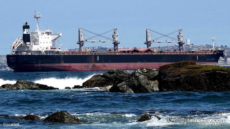 Ton-Hil-Ii - Bulk Carrier vessel