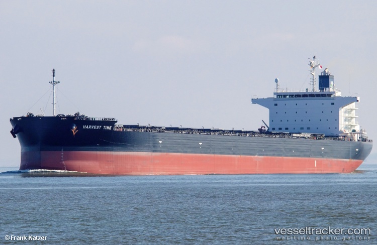 Harvest-Time - Bulk Carrier vessel