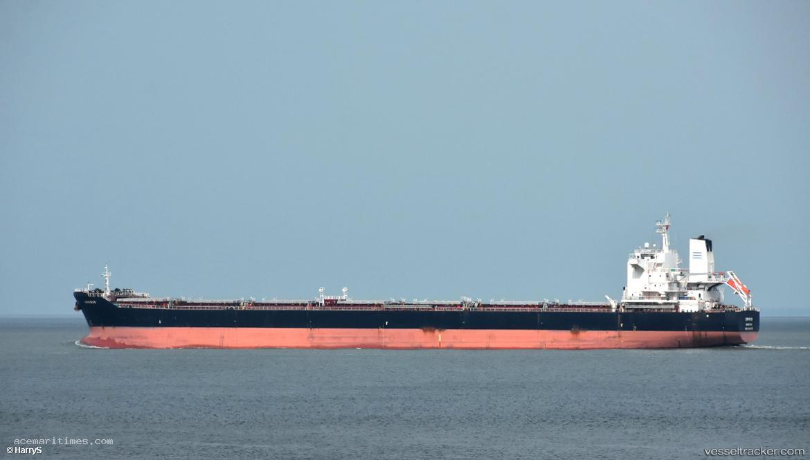 Orpheus - Bulk Carrier