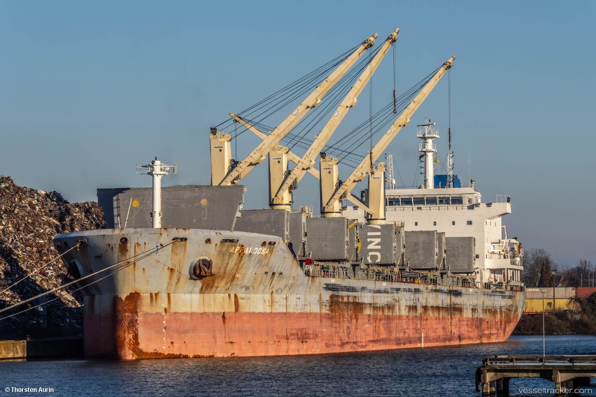 Appaloosa - Bulk Carrier vessel