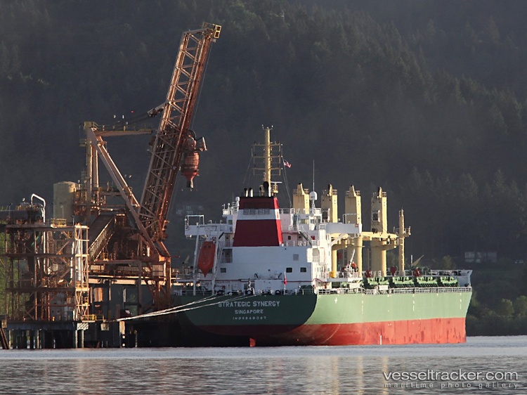 Strategic-Synergy - Bulk Carrier vessel