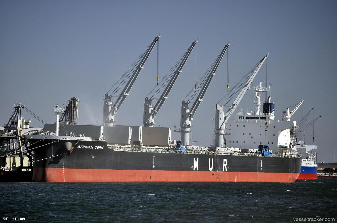 African-Tern - Bulk Carrier vessel