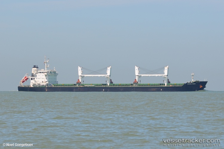 Densa-Hawk - Bulk Carrier vessel