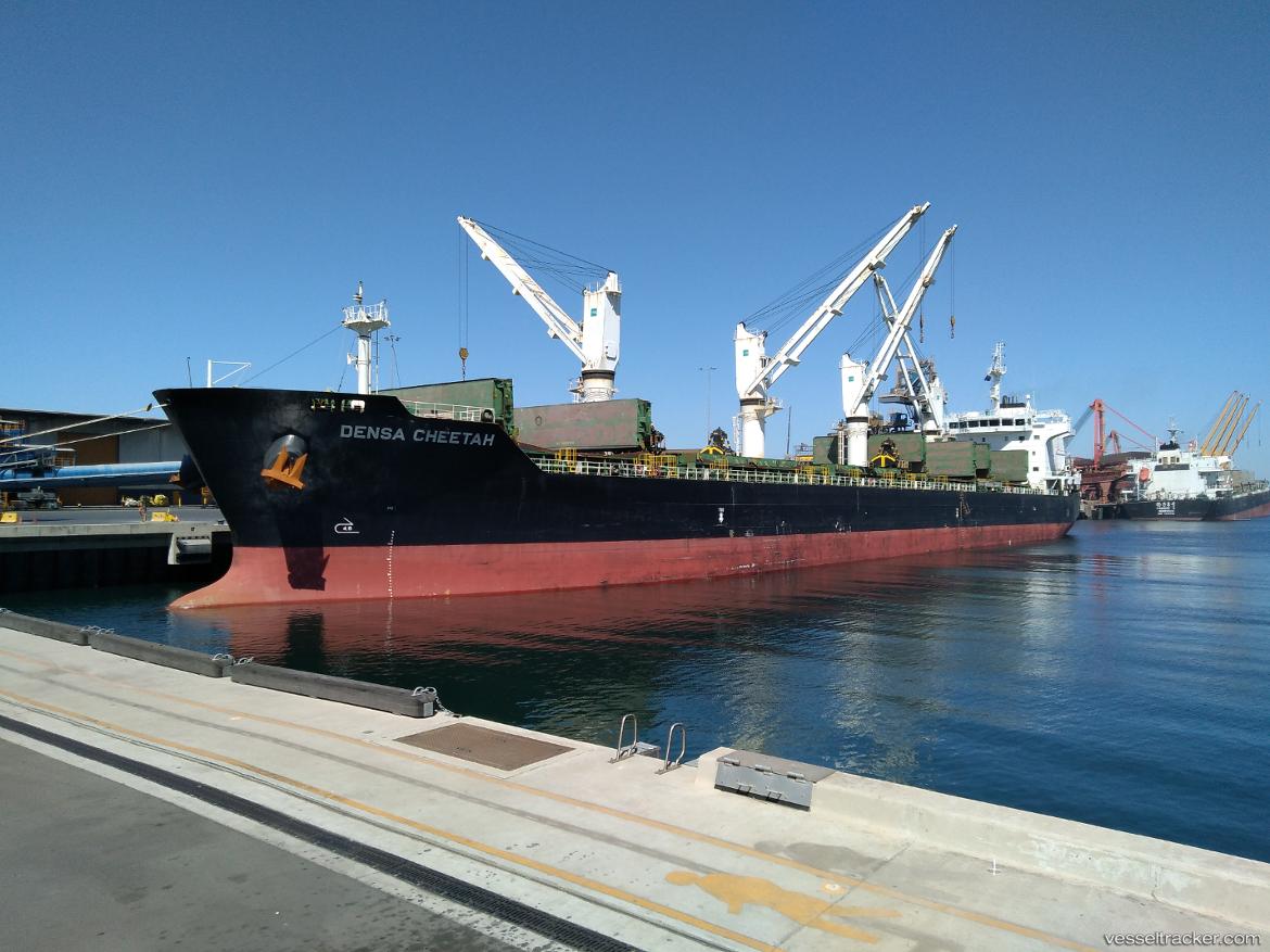Densa-Cheetah - Bulk Carrier vessel