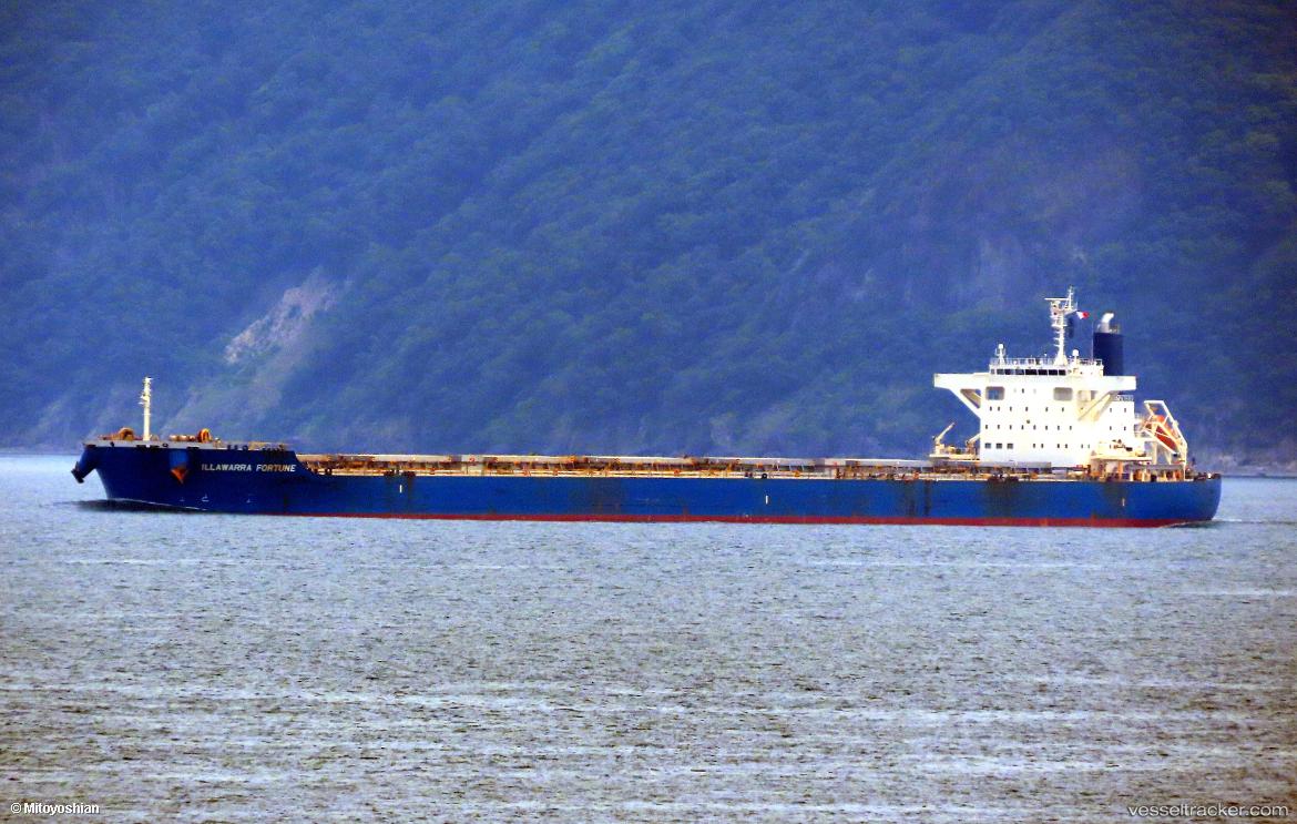 Illawarra-Fortune - Bulk Carrier vessel