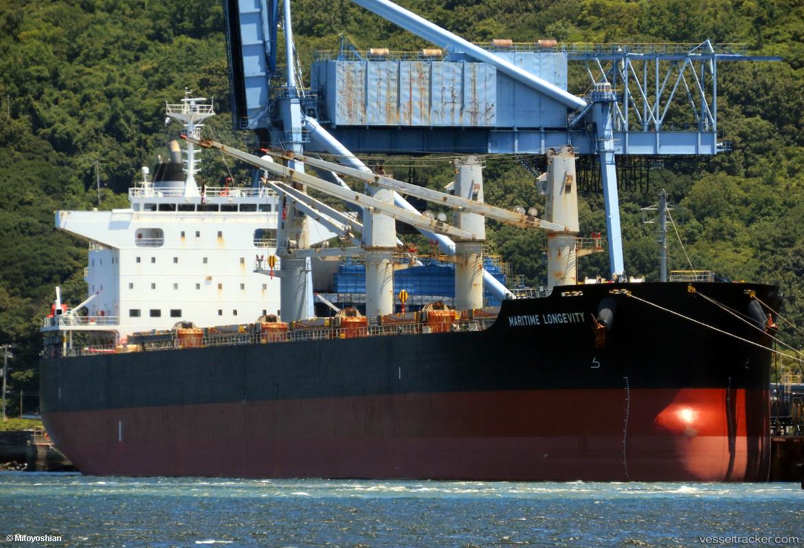 Gm-Fortune - Bulk Carrier vessel