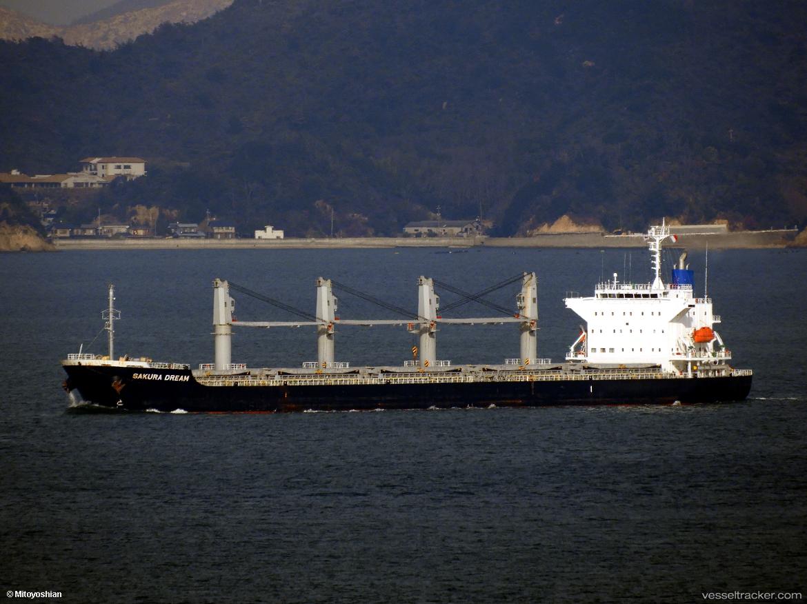Sakura-Dream - Bulk Carrier vessel