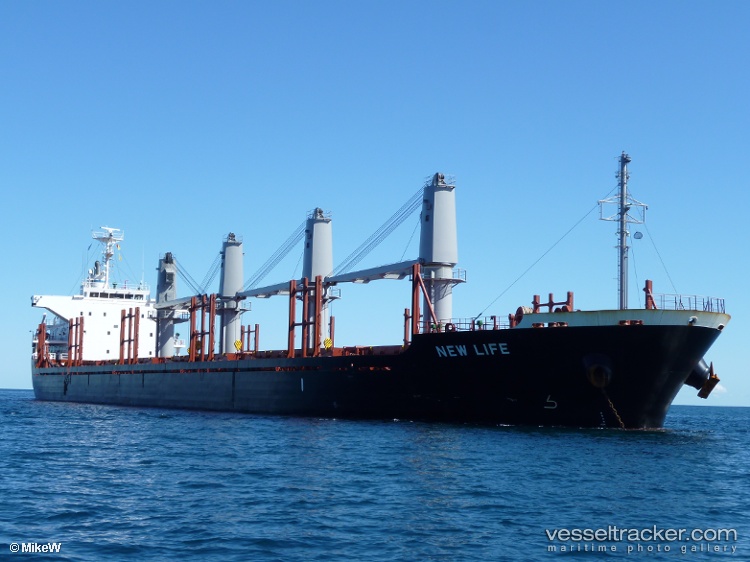 Pagoda - Bulk Carrier vessel
