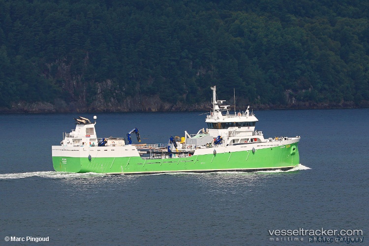 Ronjasund - Fish Carrier vessel