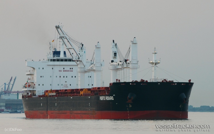 Puerto-Rosario - Bulk Carrier vessel
