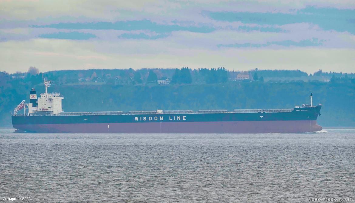 Sakizaya-Ace - Bulk Carrier vessel