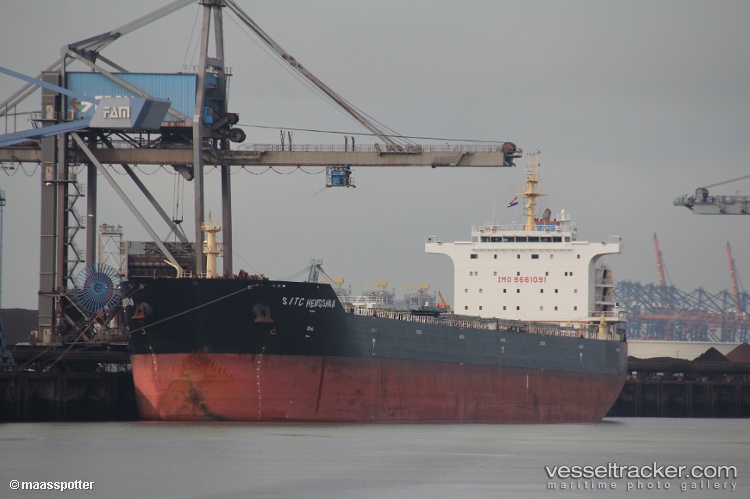 Xin-Dong-Guan-15 - Bulk Carrier vessel