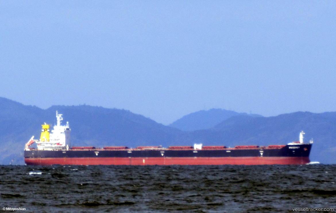 Prodigy - Bulk Carrier vessel