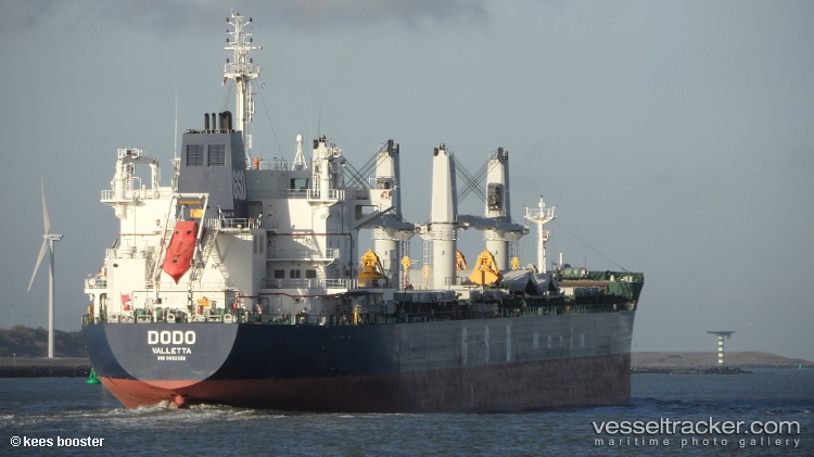 Dodo - Bulk Carrier vessel