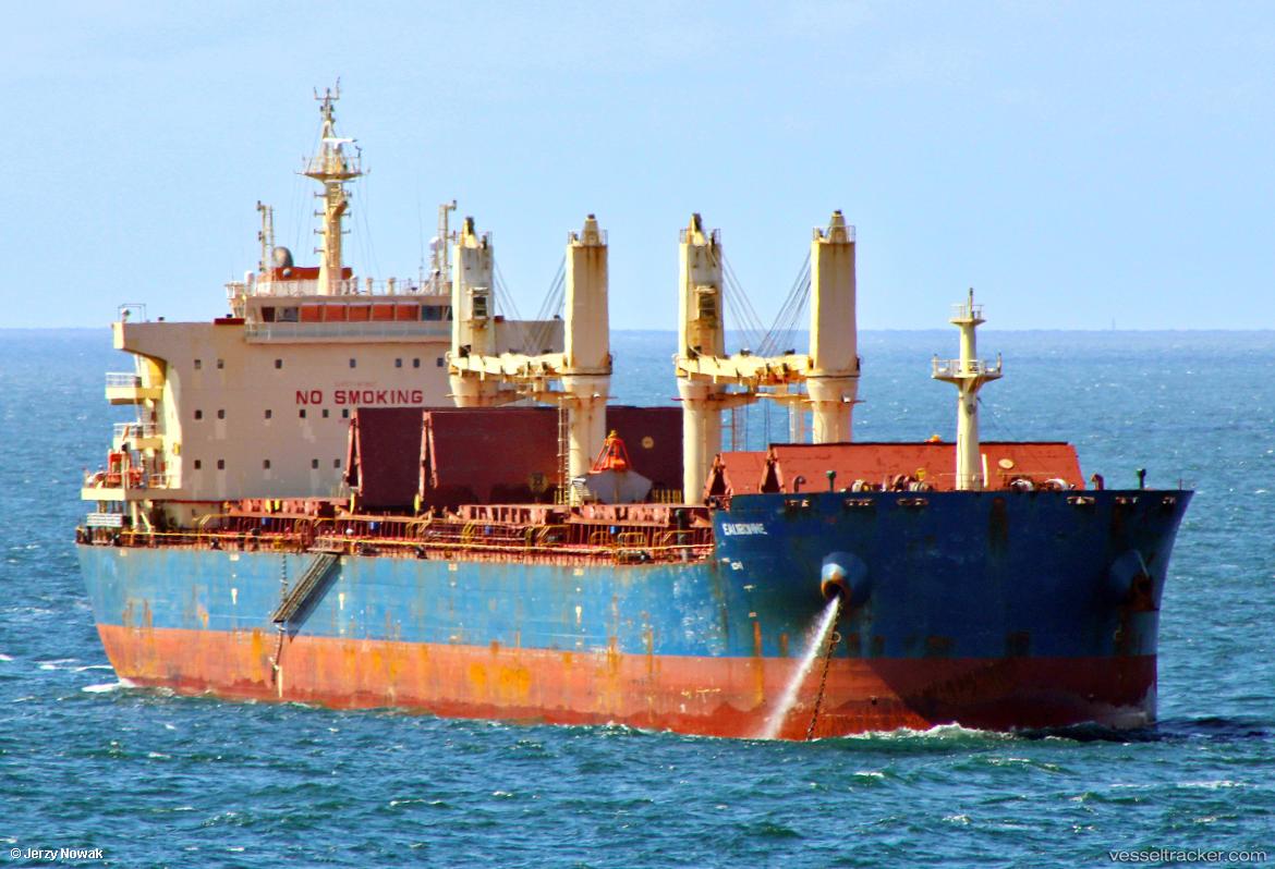 W-lion - Bulk Carrier vessel