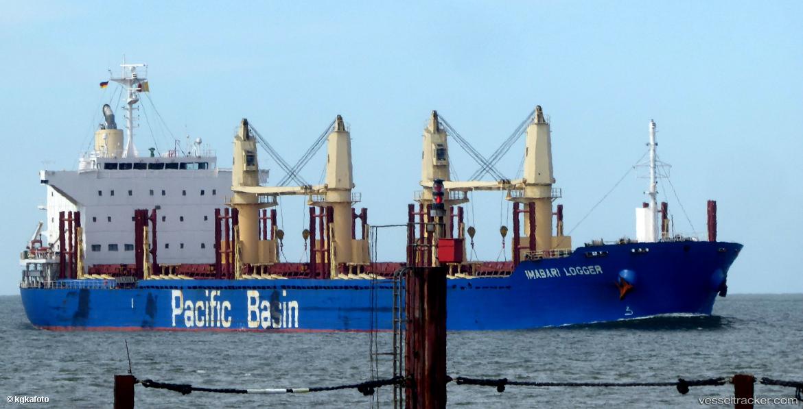 Imabari-Logger - Bulk Carrier vessel