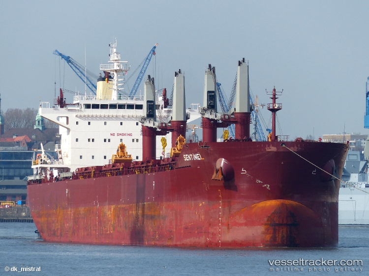 Sentinel - Bulk Carrier vessel