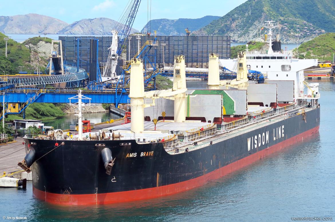 Amis-Brave - Bulk Carrier vessel