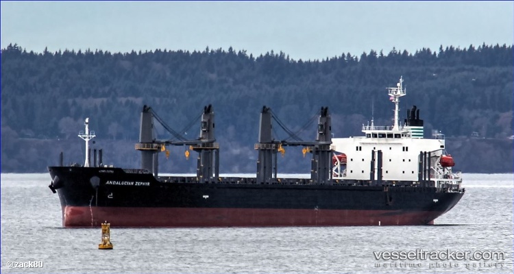 Amethyst - Bulk Carrier vessel