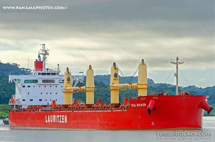 Teal-Bulker - Bulk Carrier vessel