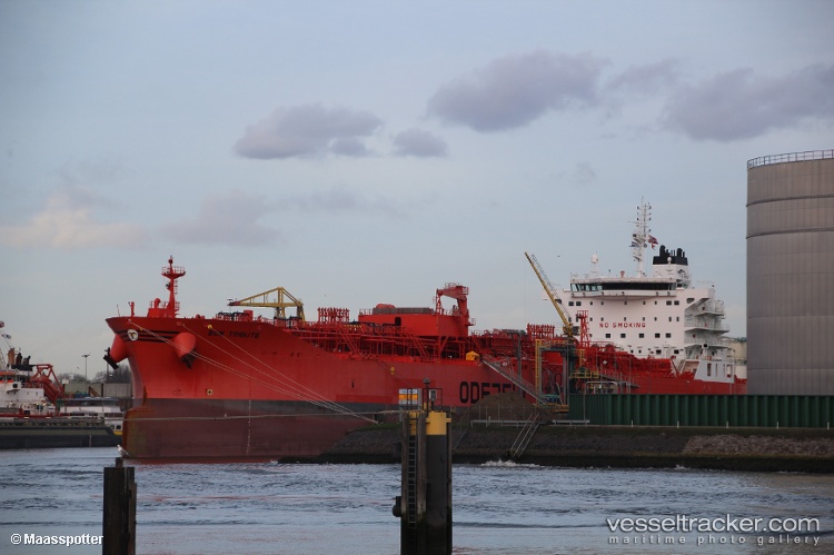 Bow-Tribute - Oil Products Tanker vessel
