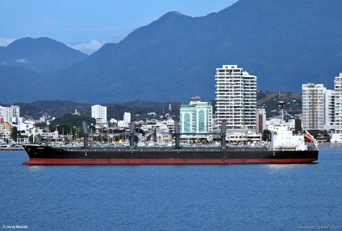 Ahsoka - Bulk Carrier vessel