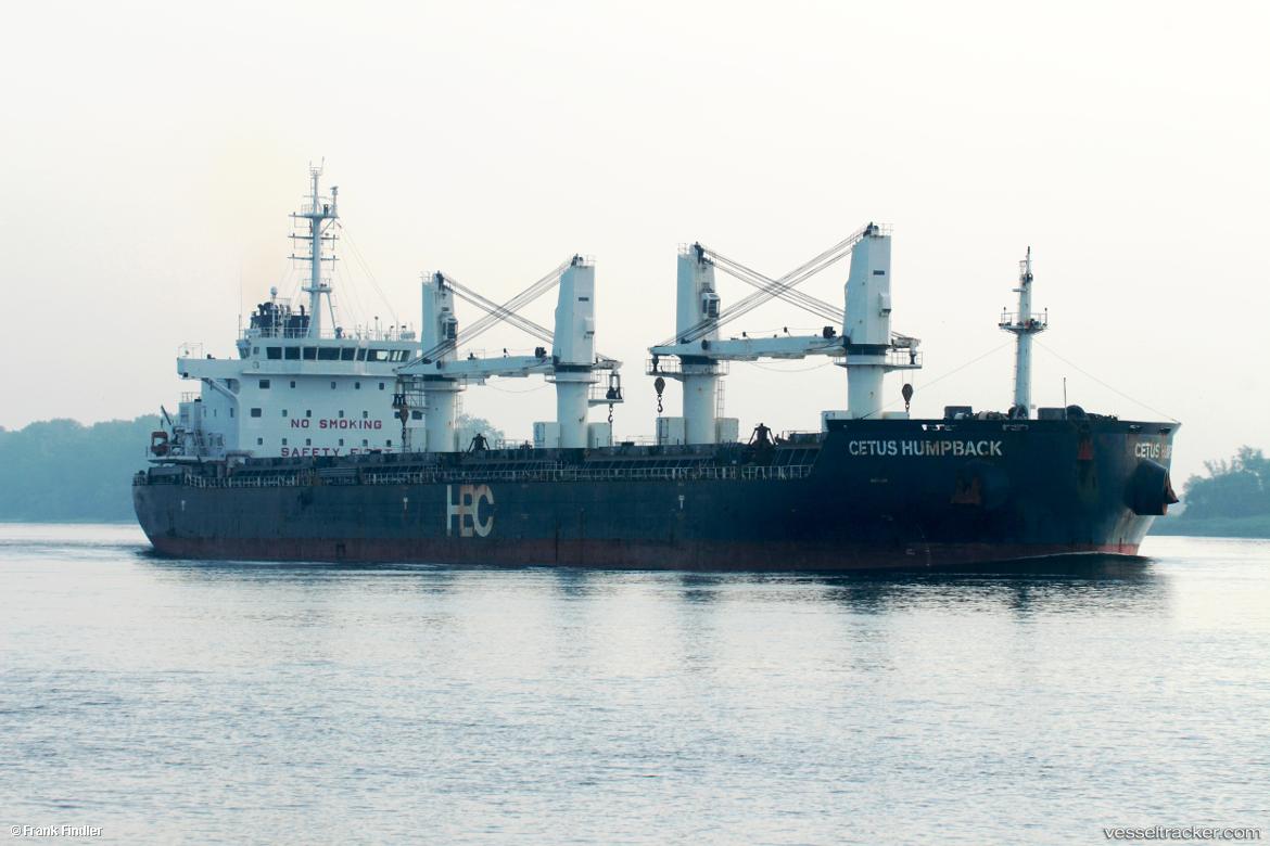 Cetus-Humpback - Bulk Carrier vessel