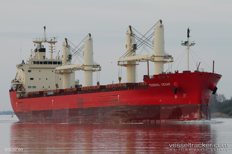Federal-Cedar - Bulk Carrier vessel