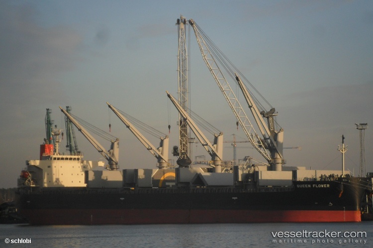 Queen-Flower - Bulk Carrier vessel