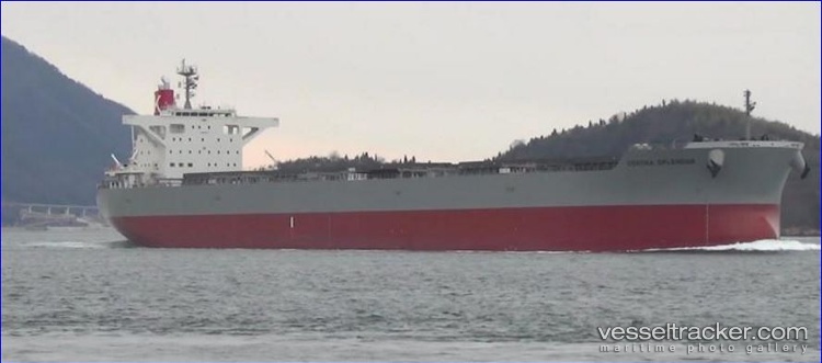 Corona-Splendor - Bulk Carrier vessel